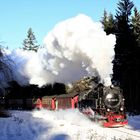 Harz (HSB) im Winter geht immer (V)