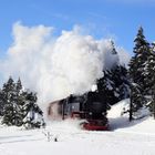 Harz (HSB) im Winter geht immer (VIII) ...