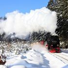 Harz (HSB) im Winter geht immer (XIV).