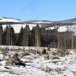 Harz (HSB) im Winter geht immer (XV)