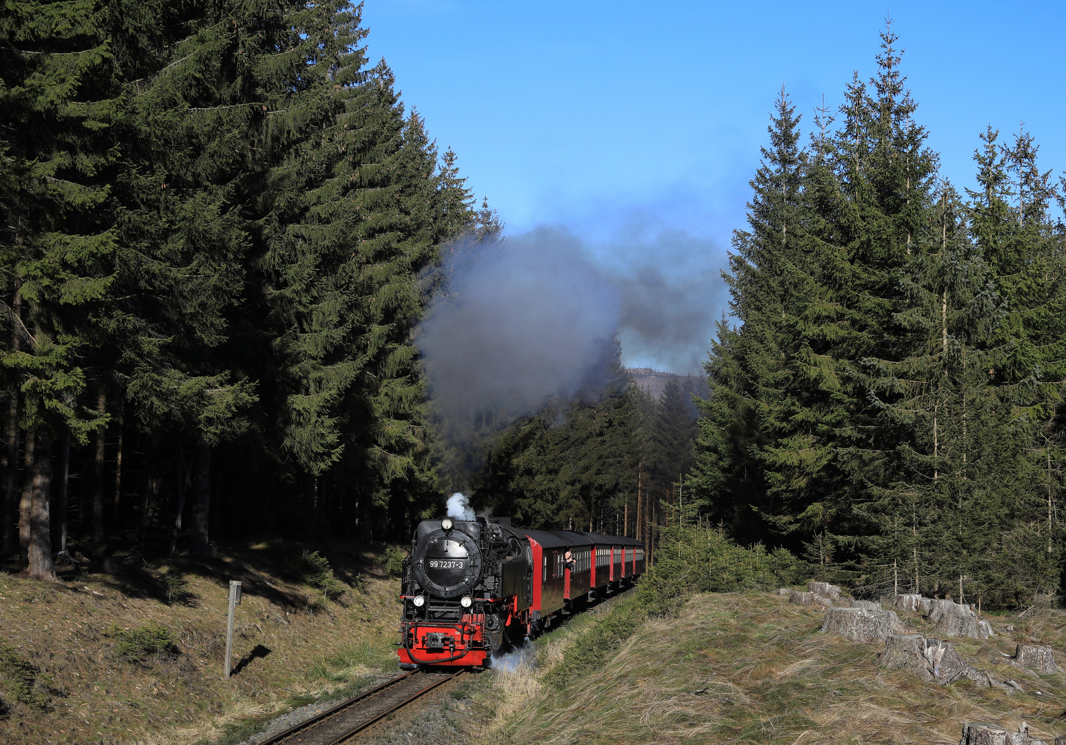 Harz (HSB) im Winter geht immer (XVII)