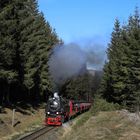 Harz (HSB) im Winter geht immer (XVII)