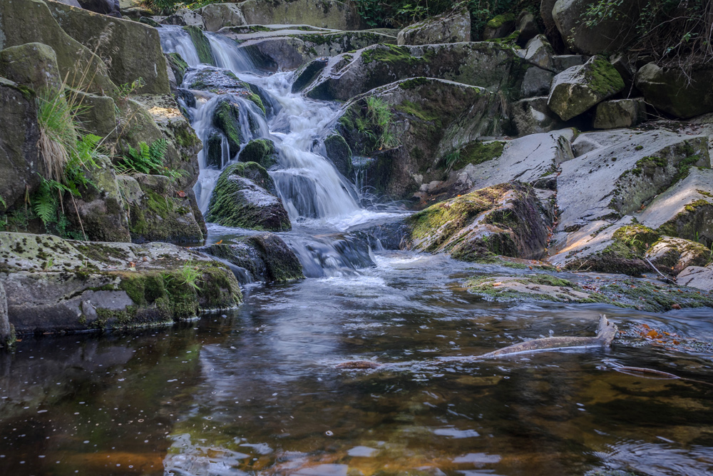 Harz-Ilse-Fälle