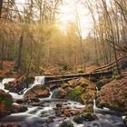 Harz Ilsefälle