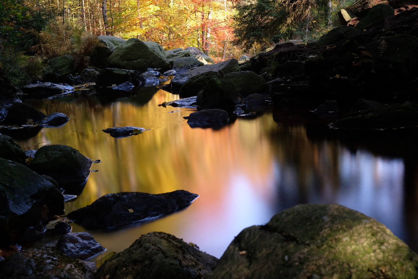 Harz im Herbst