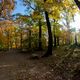 Harz im Herbst