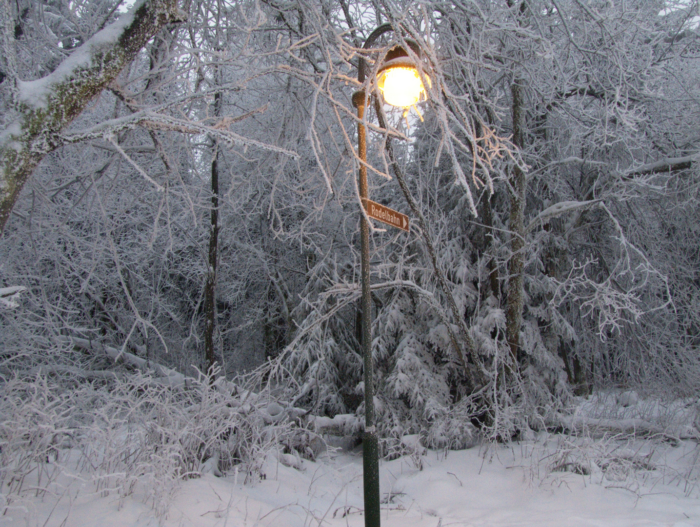 Harz im Schnee