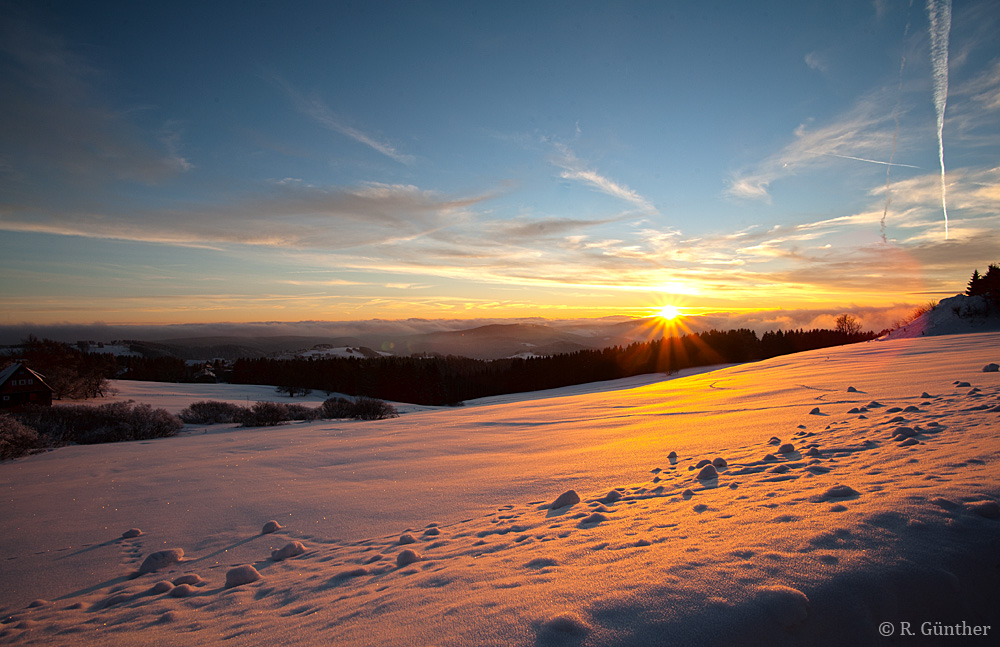 Harz im Winter