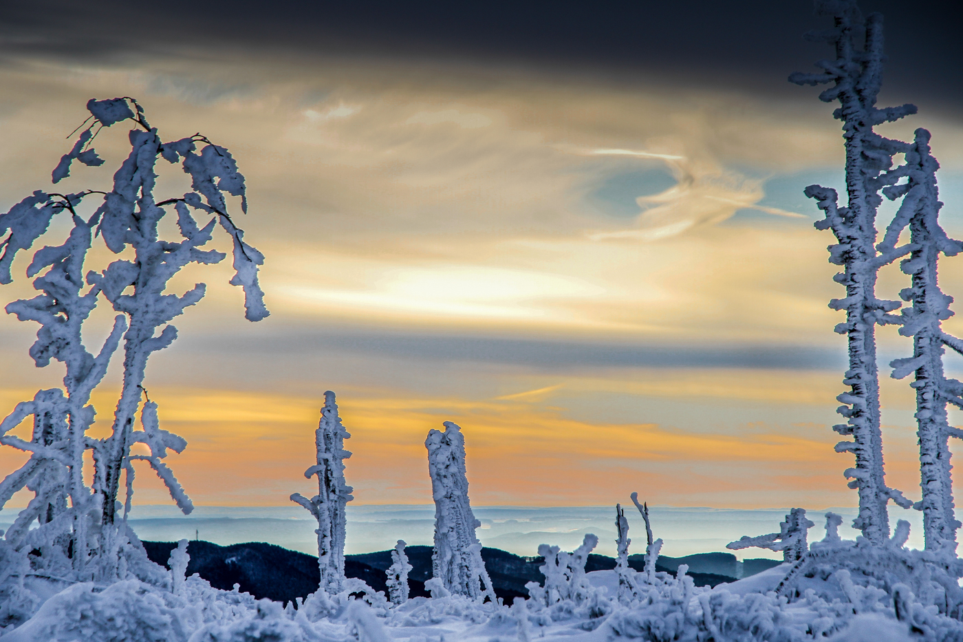 Harz im Winter