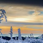 Harz im Winter