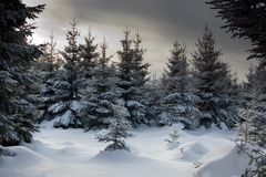 Harz im Winter 2