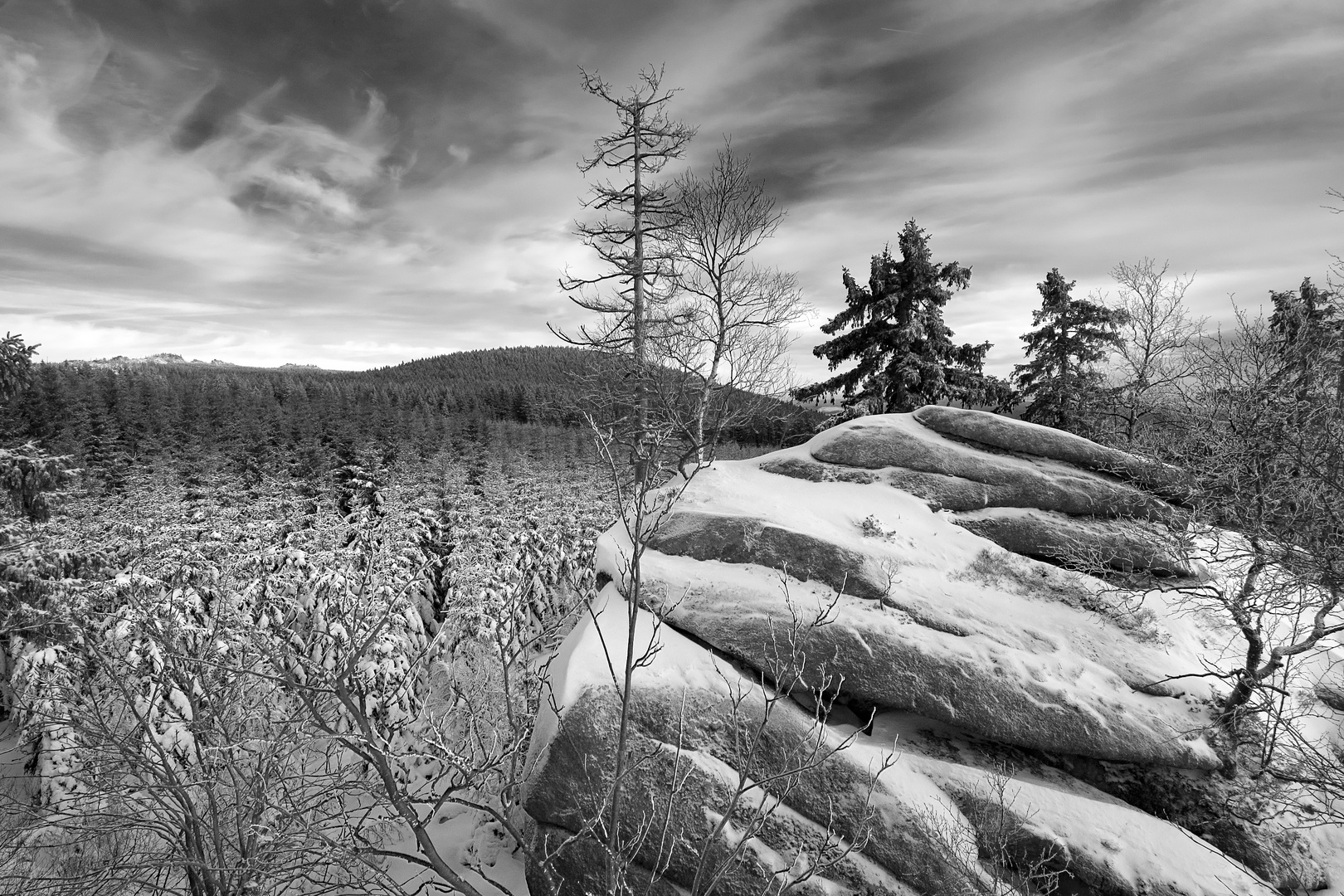 Harz im Winter 3