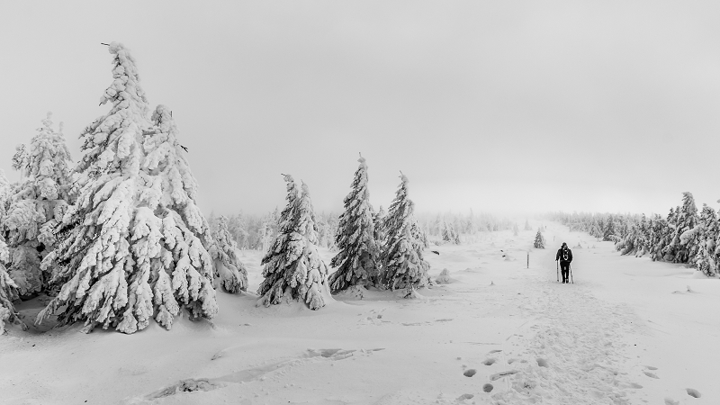 Harz im Winter