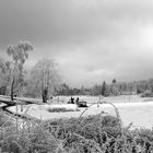 Harz im Winter