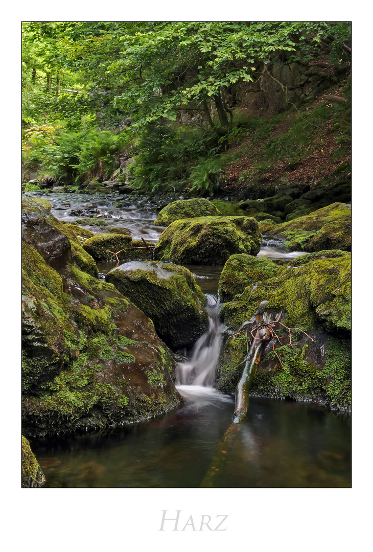 Harz - Impressionen