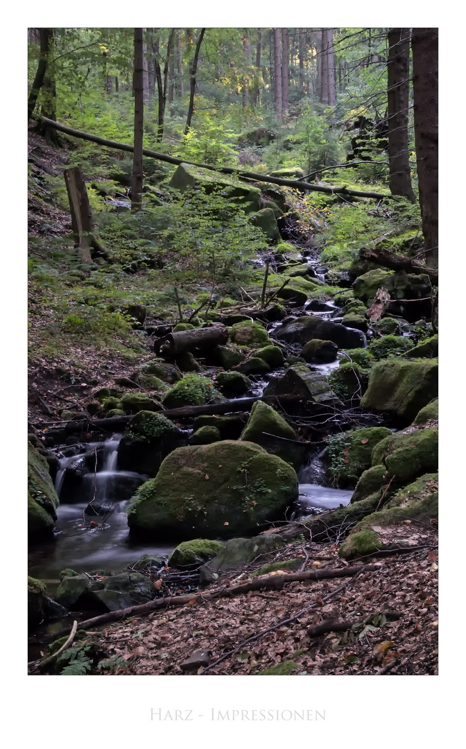 Harz- Impressionen " Bleichetal "