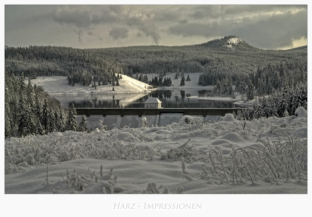 Harz- Impressionen " Blick auf die Eckertalsperre "