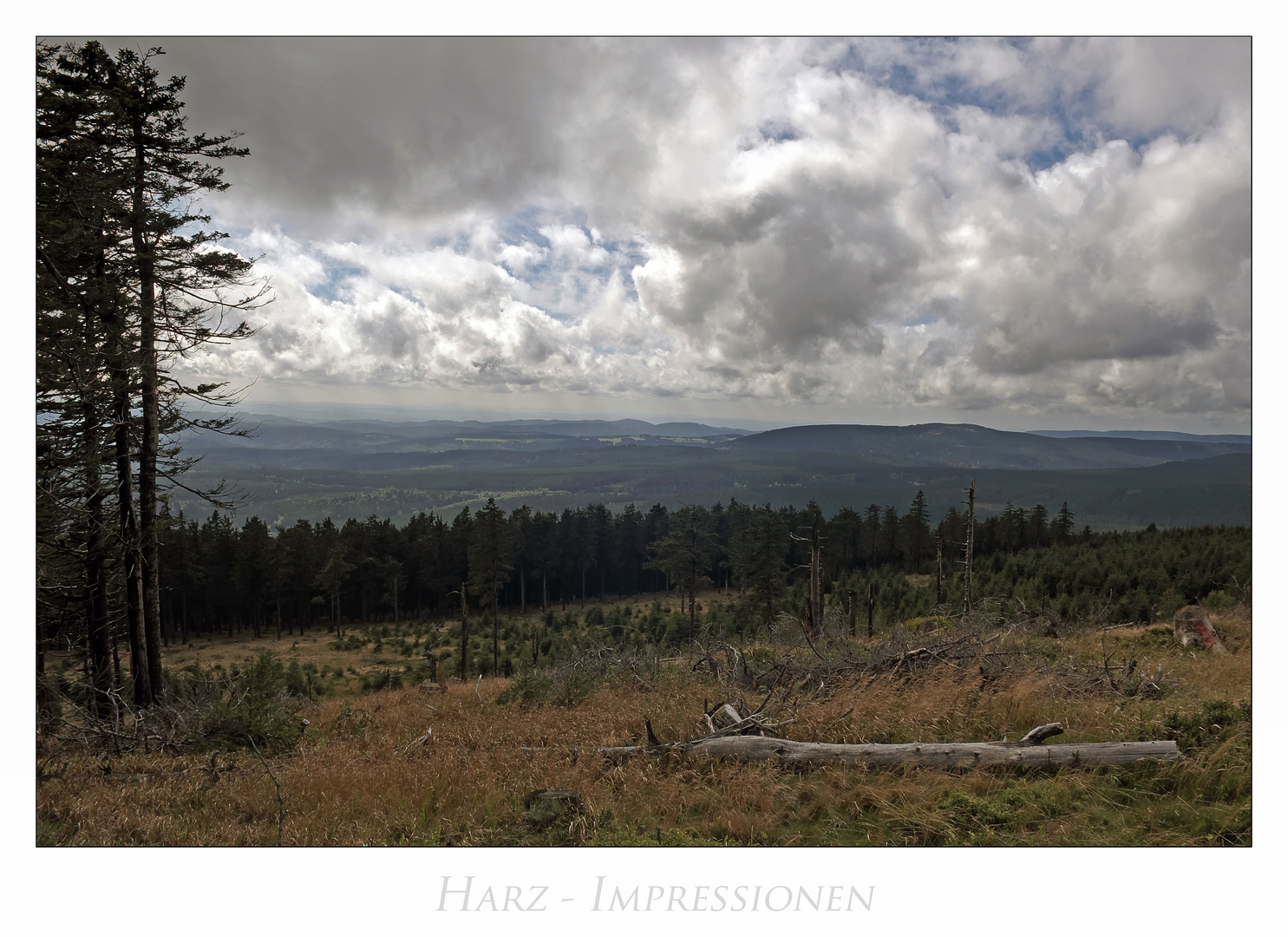 Harz - Impressionen " Blick, vom Wurmberg...."