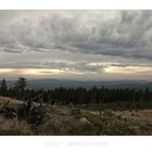 Harz- Impressionen " Blick, vom Wurmberggipfel"