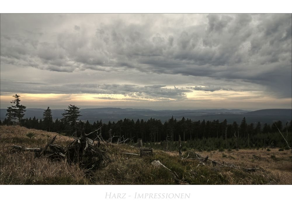 Harz- Impressionen " Blick, vom Wurmberggipfel"