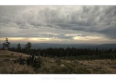 Harz- Impressionen " Blick, vom Wurmberggipfel"