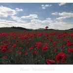 Harz-Impressionen