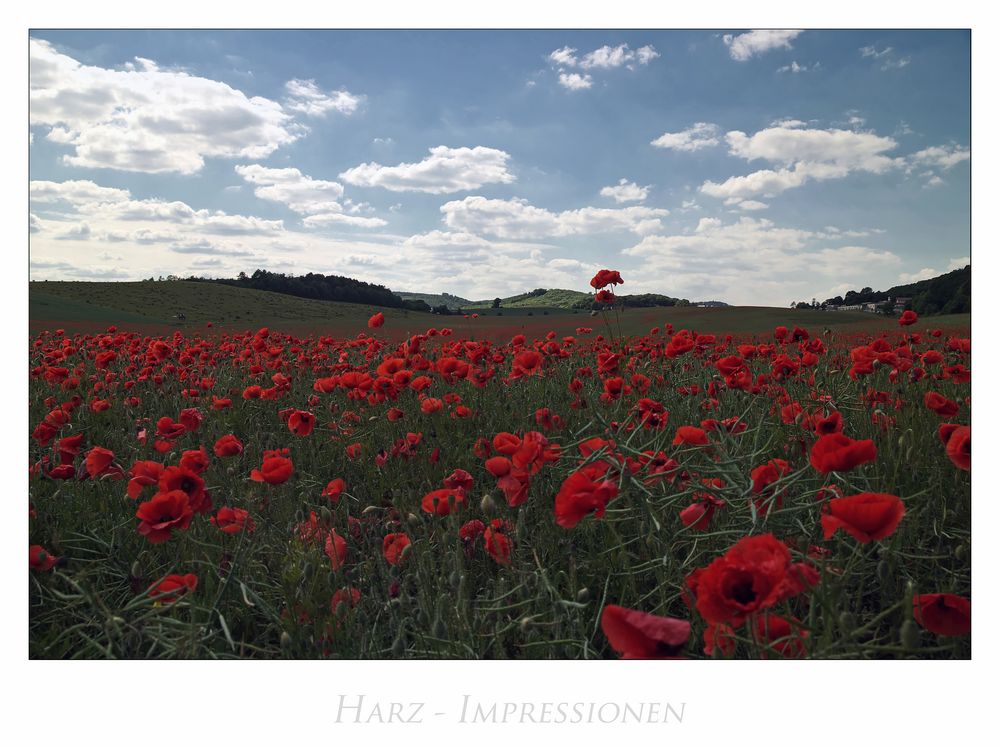 Harz-Impressionen