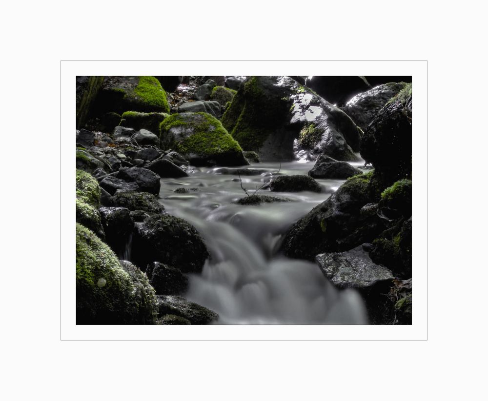 Harz - Impressionen " der Riefenbach..( Verschiebung der Farbbalance )