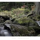 Harz- Impressionen " die  Bode aus meiner Sicht "