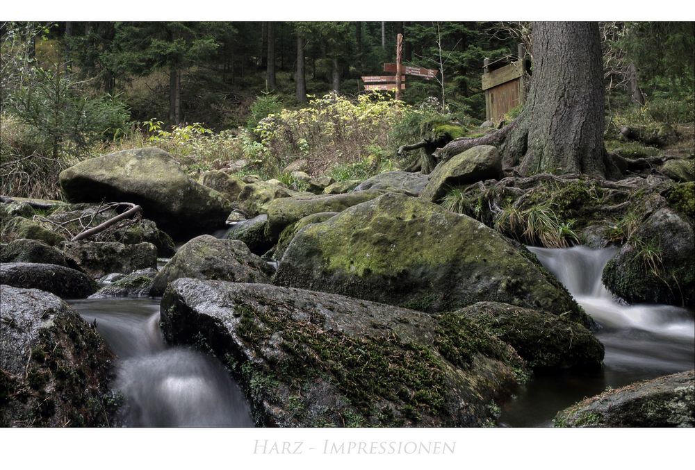 Harz- Impressionen " die  Bode aus meiner Sicht "