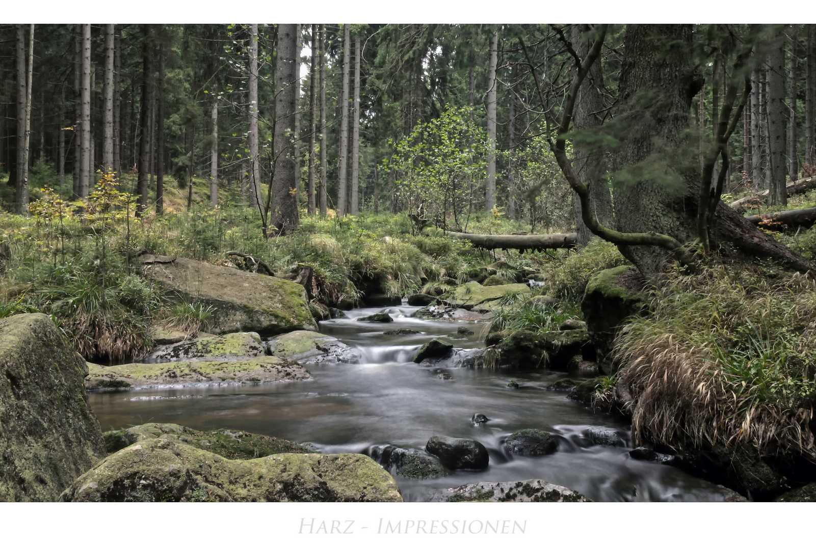 Harz- Impressionen " die Bode "