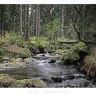 Harz- Impressionen " die Bode "