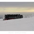 Harz- Impressionen " die Harzer Schmalspurbahn......