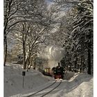 Harz- Impressionen " die Harzer Schmalspurbahn, auf dem Weg zum Brocken...