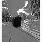 Harz- Impressionen " die Harzer Schmalspurbahn......