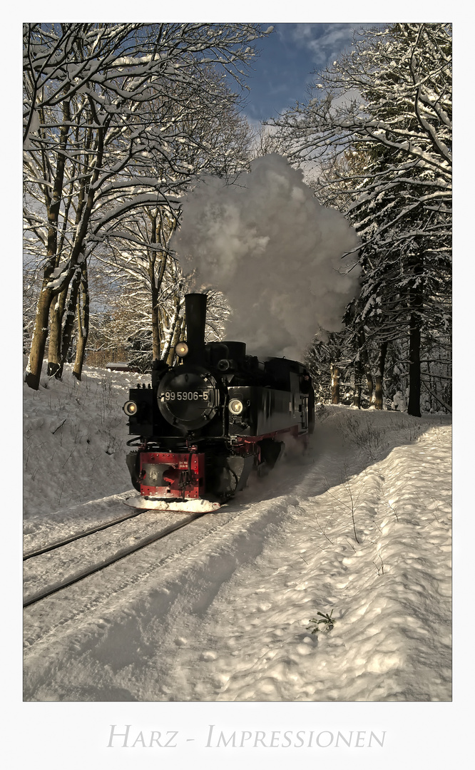 Harz- Impressionen " die Harzer Schmalspurbahn......