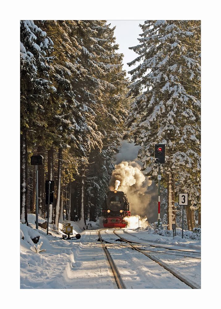 Harz- Impressionen " die Harzerschmalspurbahn unter Dampf...."