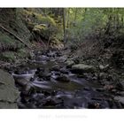 Harz- Impressionen " die Radau "