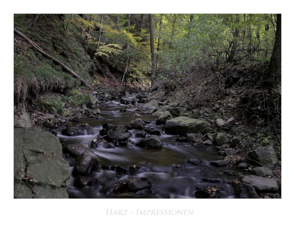 Harz- Impressionen " die Radau "