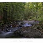 Harz - Impressionen " Elend - entlang der Kalten-Bode...."