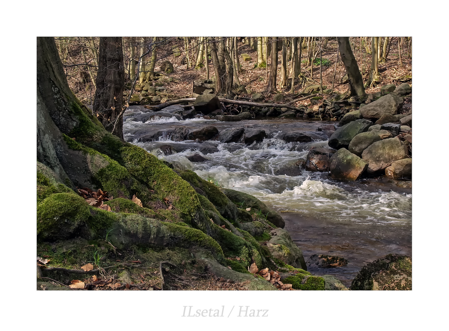 Harz-Impressionen " Endlang der ILse..."