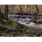 Harz-Impressionen " Endlang der ILse..."