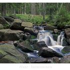 Harz - Impressionen " entlang der Bode...."