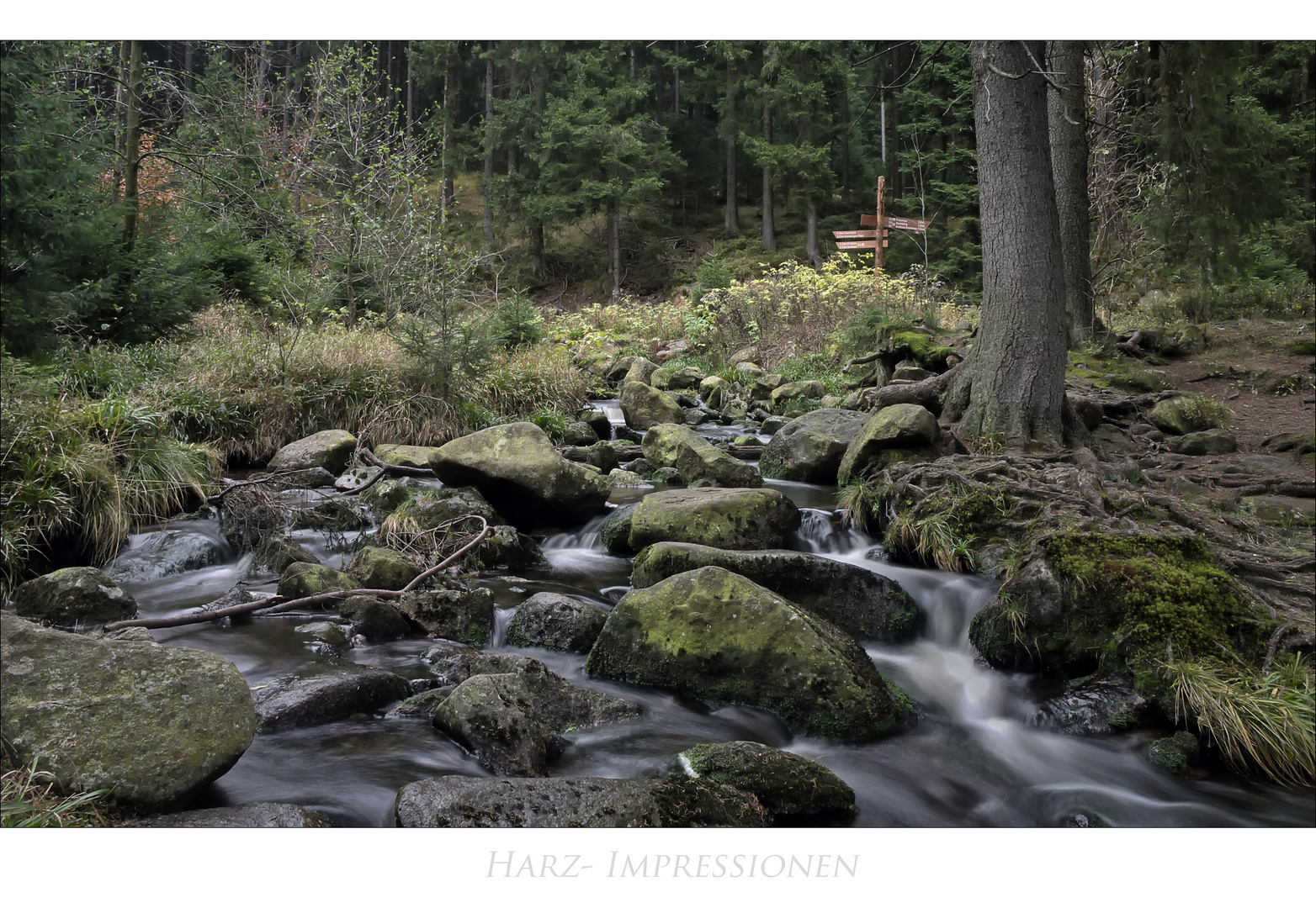 Harz- Impressionen " entlang der Bode "