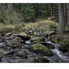 Harz- Impressionen " entlang der Bode "