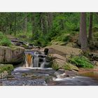 Harz- Impressionen " entlang der Bode "