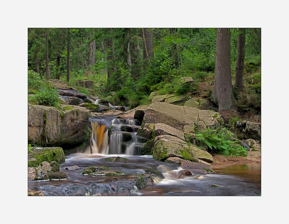 Harz- Impressionen " entlang der Bode "