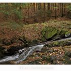 Harz - Impressionen " entlang der Ecker...."