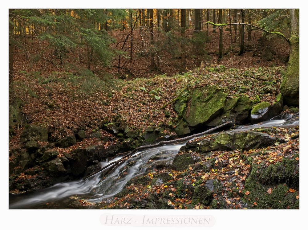 Harz - Impressionen " entlang der Ecker...."