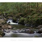 Harz - Impressionen " entlang der Kalten-Bode...."